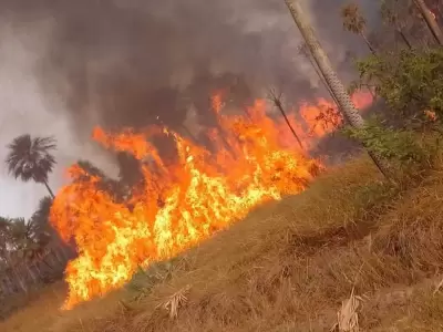 incendios en Chaco