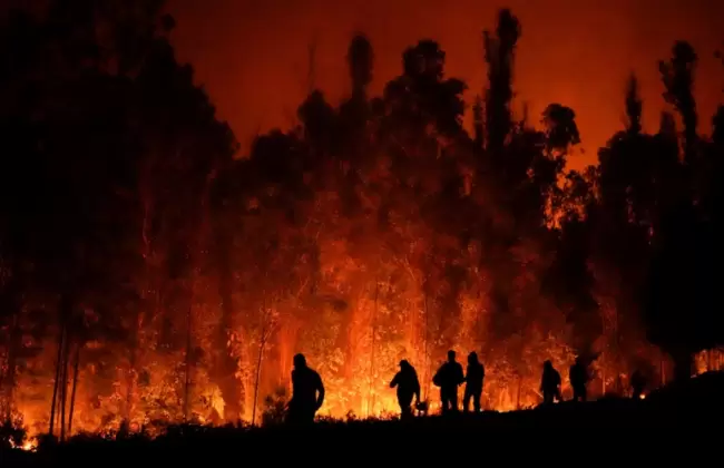 Incendios forestales en chile.