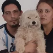 Un perro ayud a su hijo con autismo y ahora ella dedica su vida a salvarlos